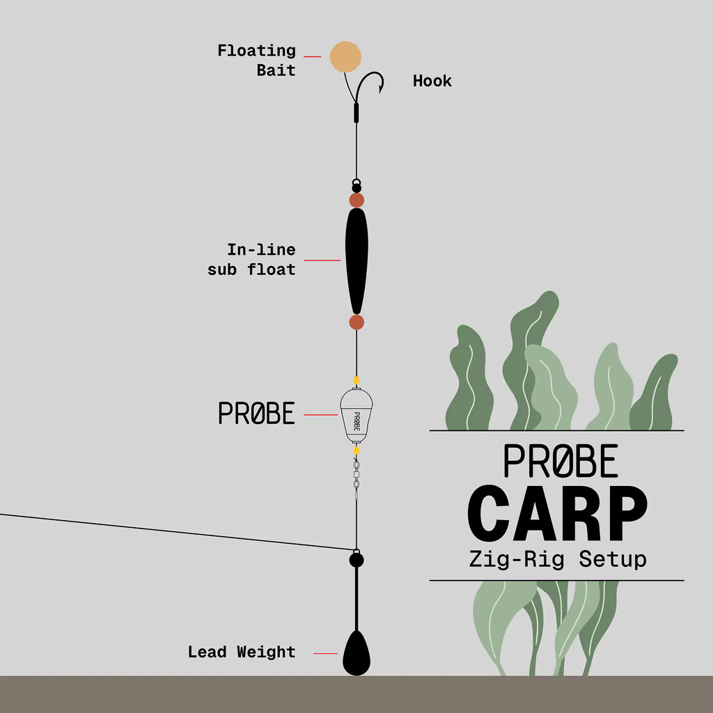 PROBE - Fishing