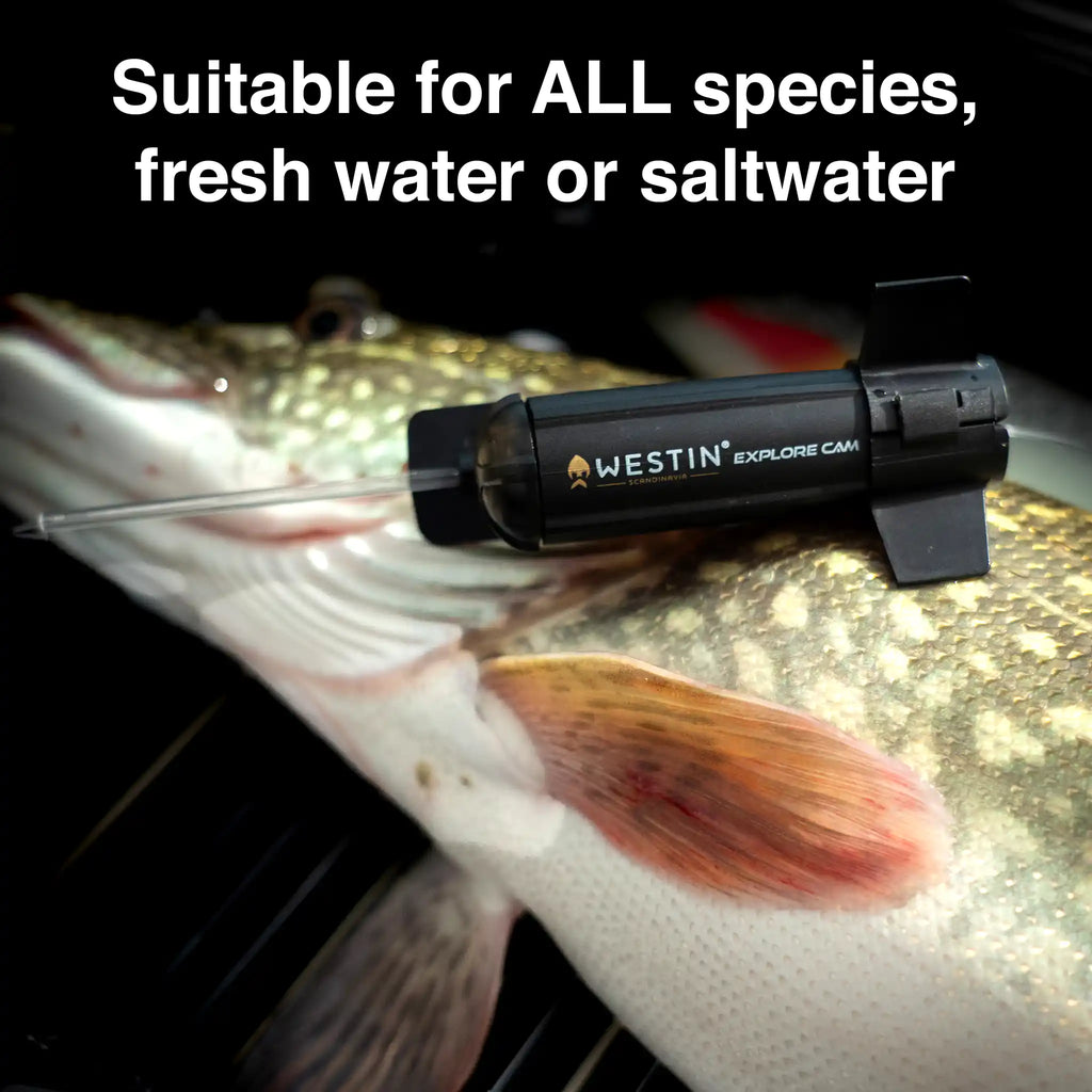 Westin Explore Fishing Camera